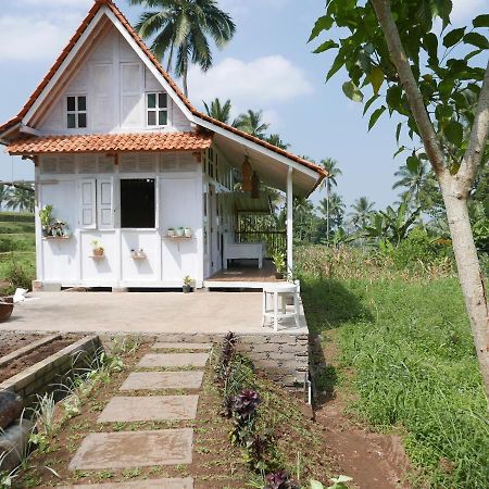 Pondok Isoke Villa Banyuwangi  Dış mekan fotoğraf