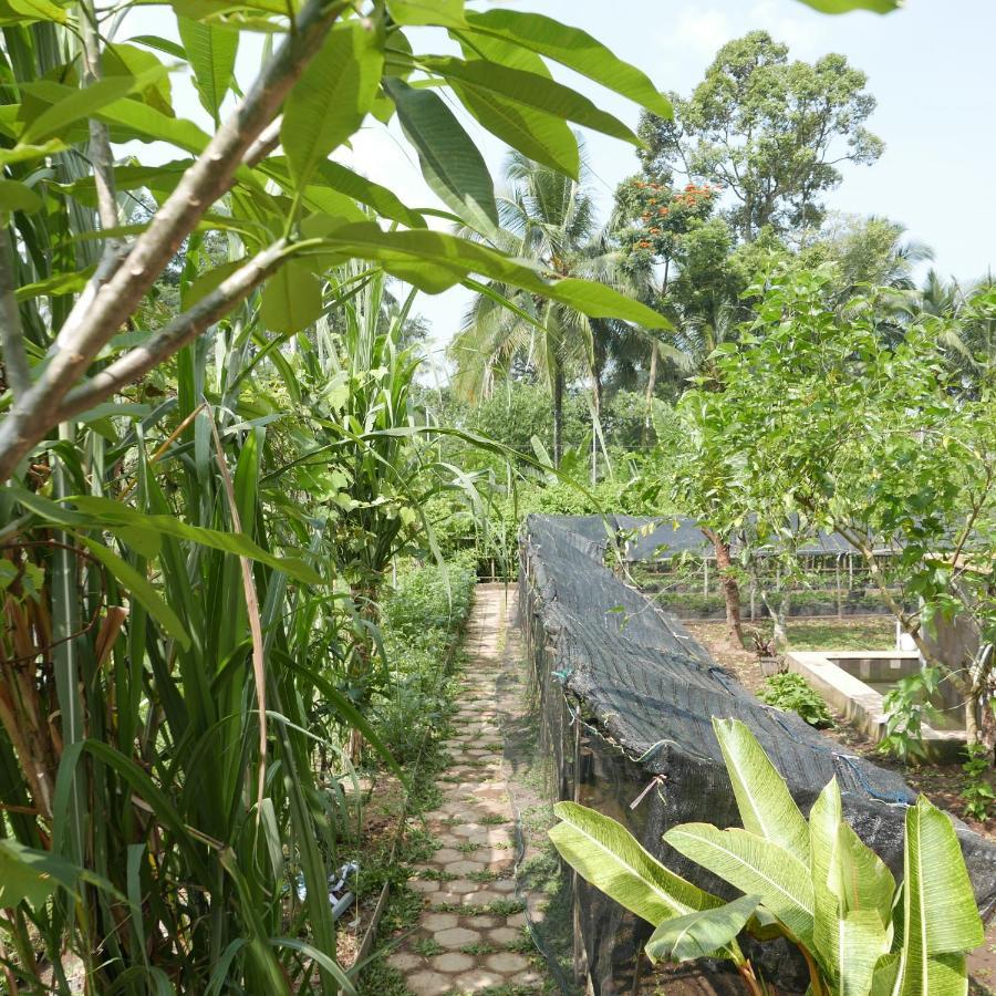 Pondok Isoke Villa Banyuwangi  Dış mekan fotoğraf