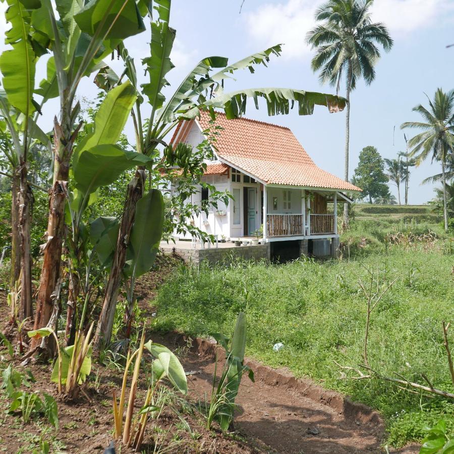 Pondok Isoke Villa Banyuwangi  Dış mekan fotoğraf