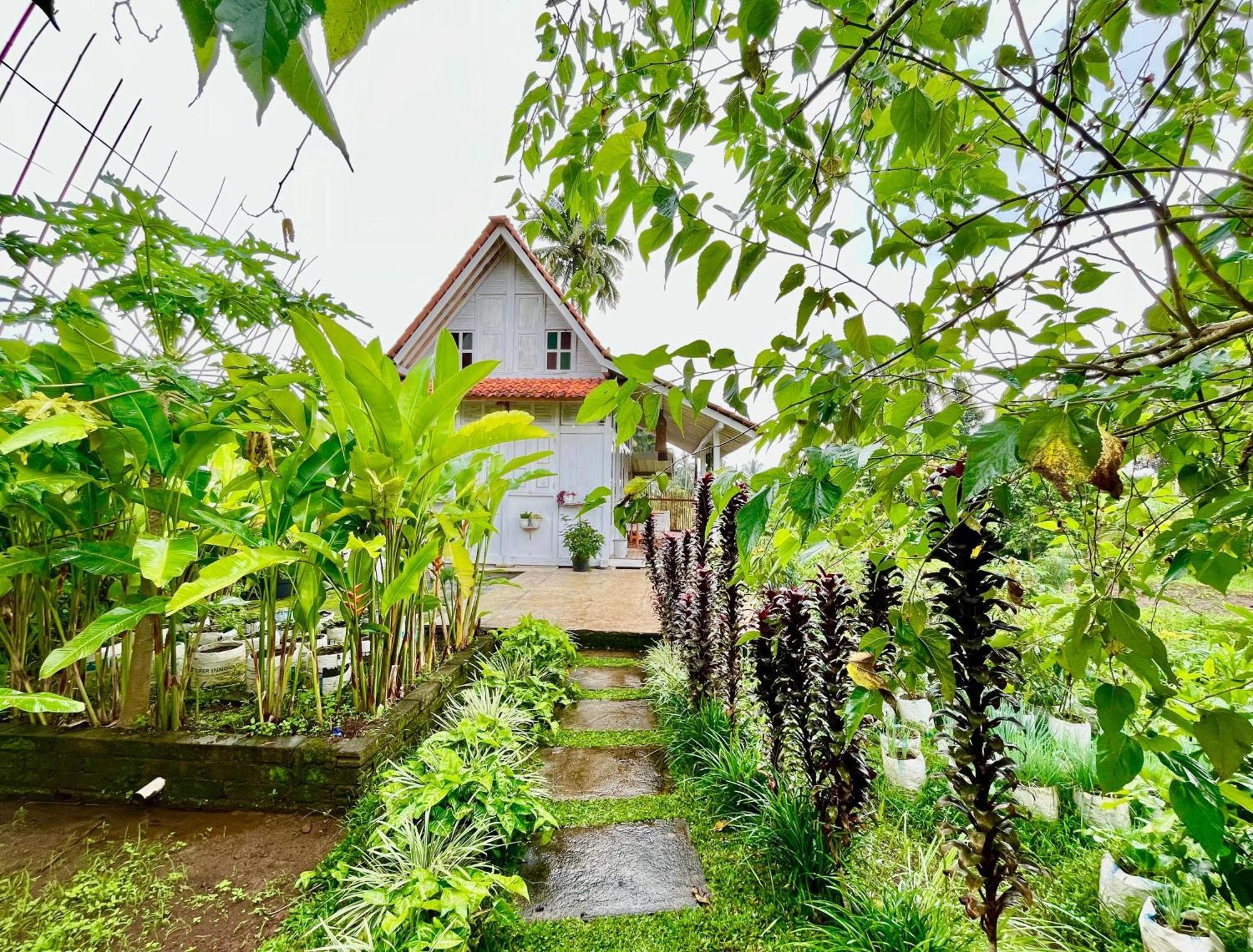 Pondok Is Oke Villa Scenic View Banyuwangi  Dış mekan fotoğraf
