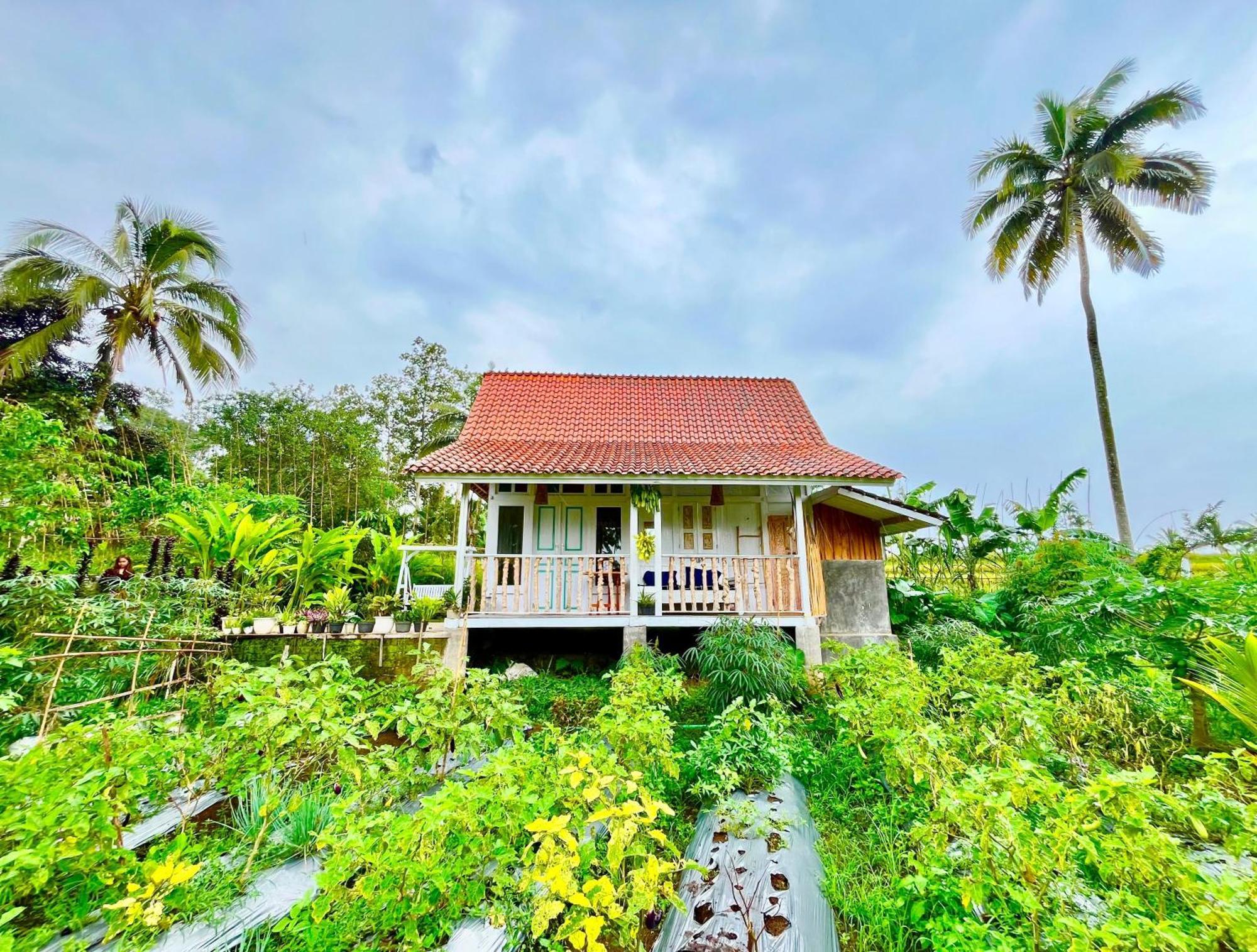 Pondok Is Oke Villa Scenic View Banyuwangi  Dış mekan fotoğraf
