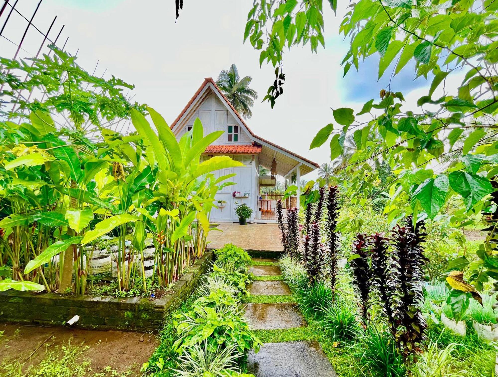 Pondok Is Oke Villa Scenic View Banyuwangi  Dış mekan fotoğraf
