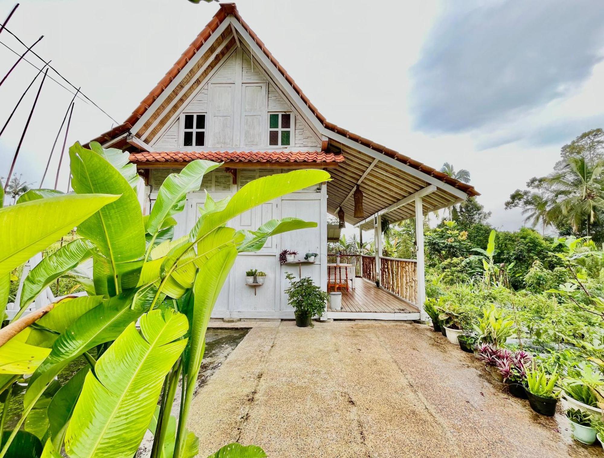 Pondok Is Oke Villa Scenic View Banyuwangi  Dış mekan fotoğraf