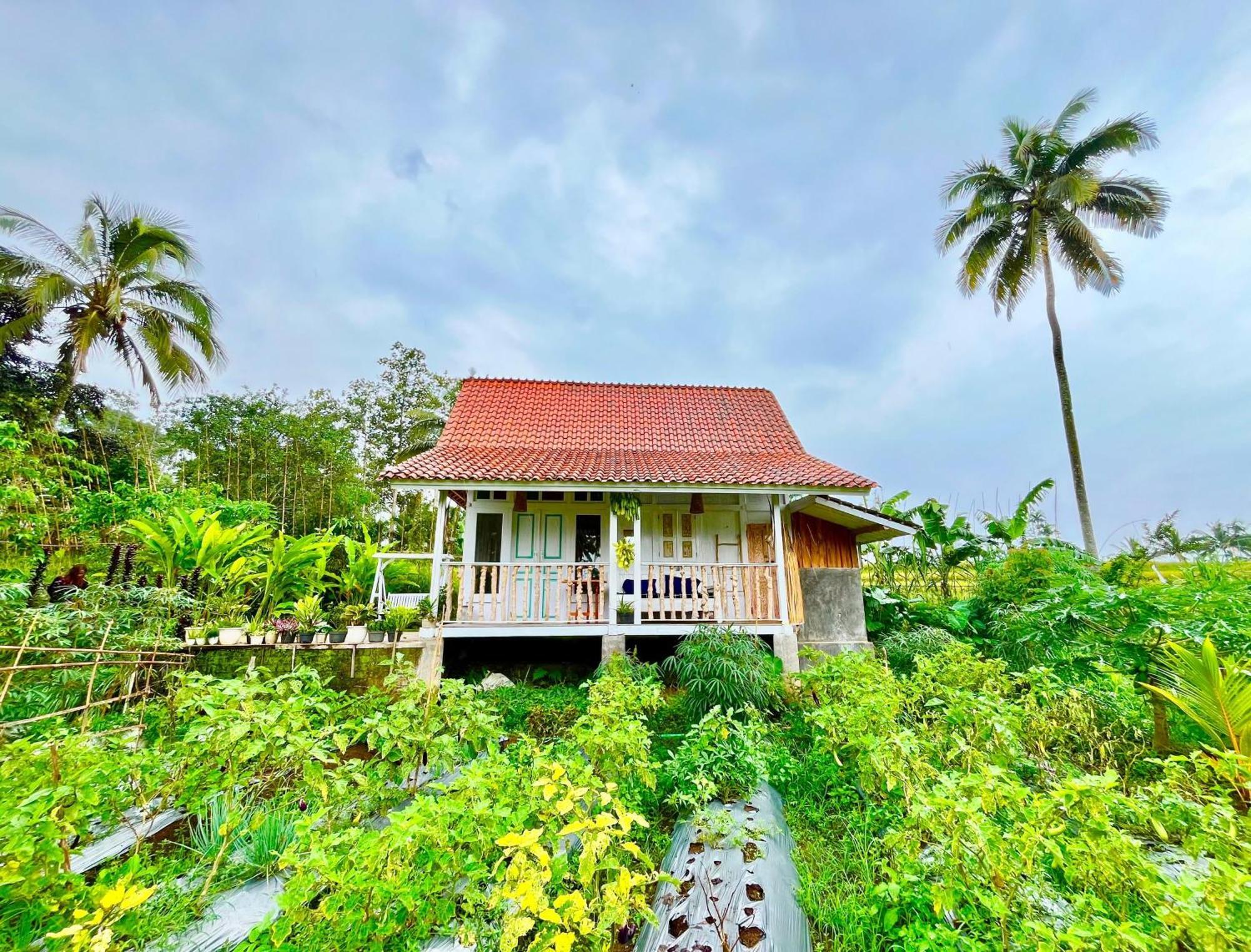 Pondok Is Oke Villa Scenic View Banyuwangi  Dış mekan fotoğraf