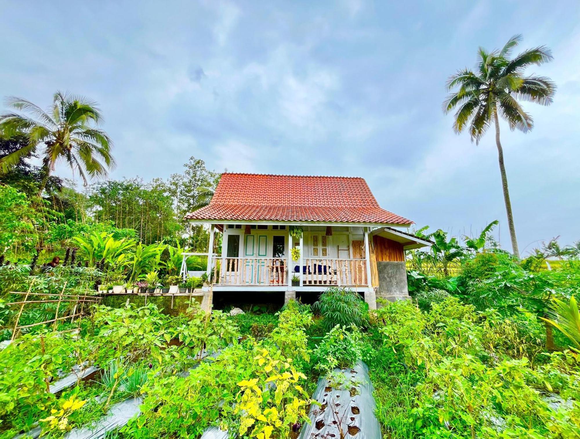 Pondok Is Oke Villa Scenic View Banyuwangi  Dış mekan fotoğraf