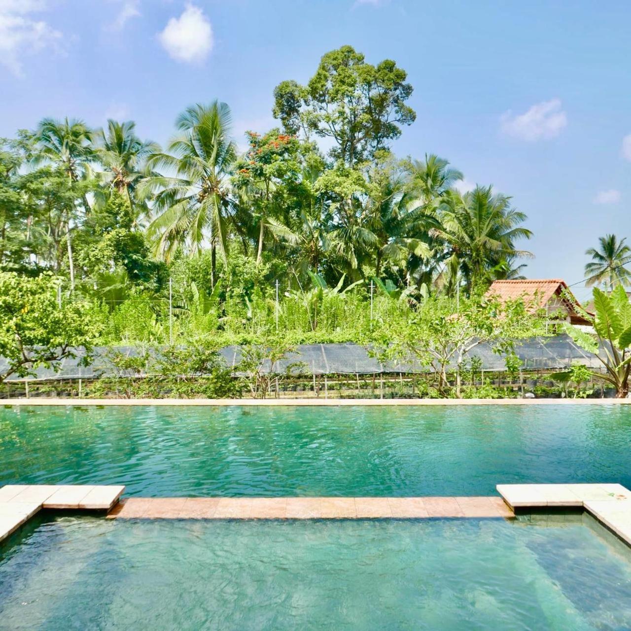 Pondok Is Oke Villa Scenic View Banyuwangi  Dış mekan fotoğraf