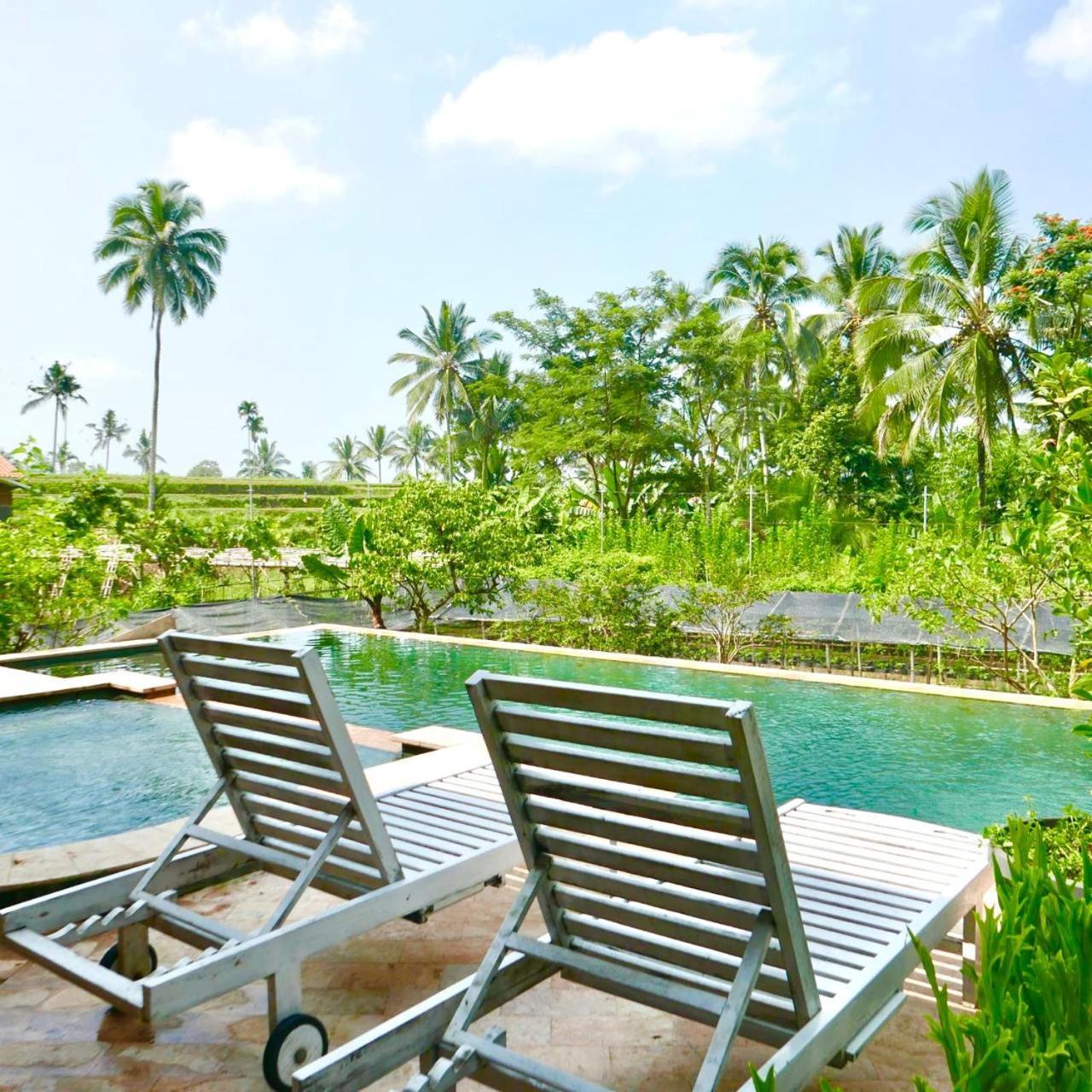 Pondok Is Oke Villa Scenic View Banyuwangi  Dış mekan fotoğraf