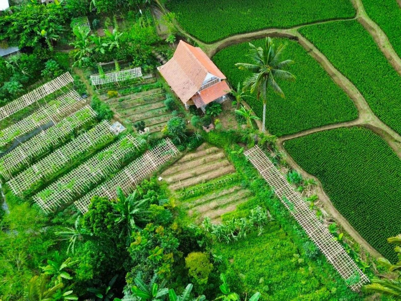 Pondok Is Oke Villa Scenic View Banyuwangi  Dış mekan fotoğraf
