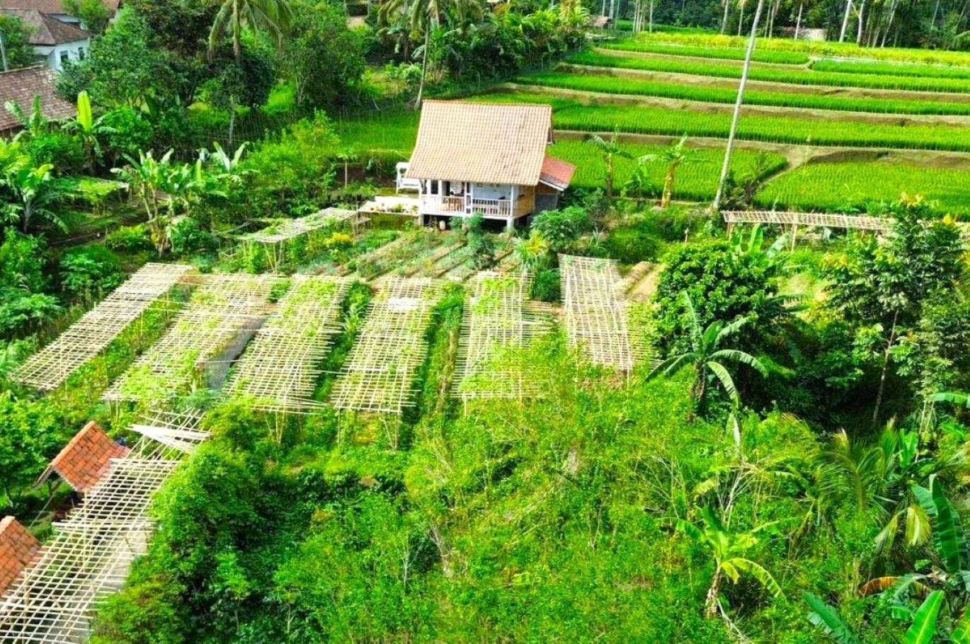 Pondok Is Oke Villa Scenic View Banyuwangi  Dış mekan fotoğraf