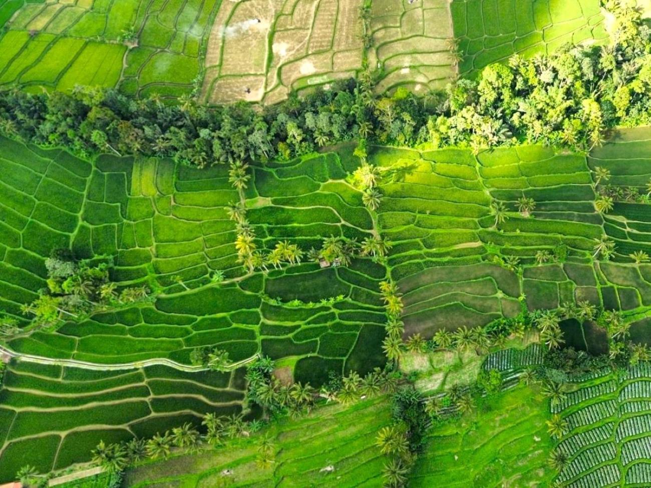 Pondok Is Oke Villa Scenic View Banyuwangi  Dış mekan fotoğraf
