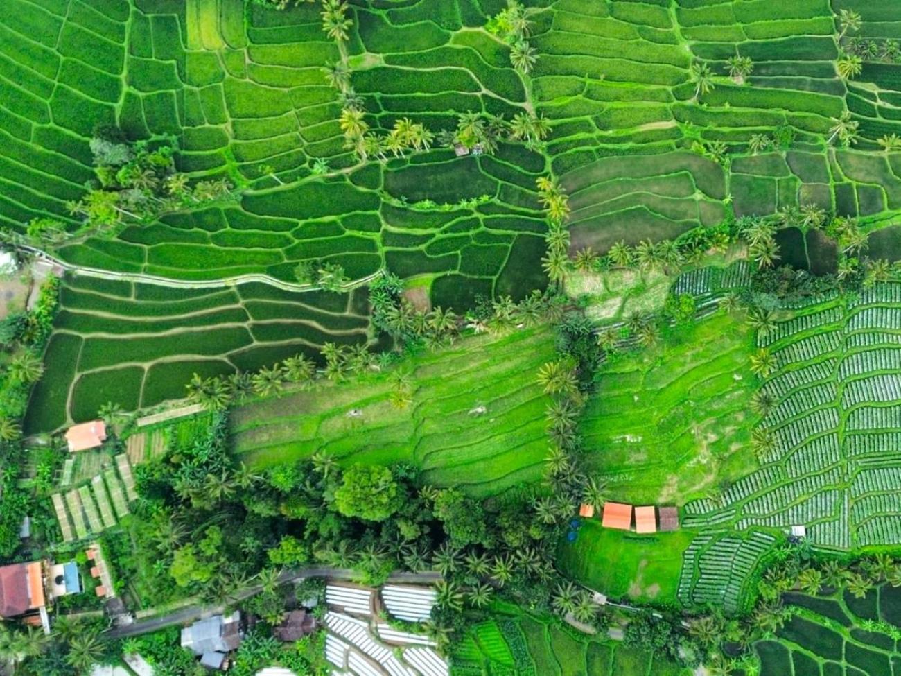 Pondok Is Oke Villa Scenic View Banyuwangi  Dış mekan fotoğraf
