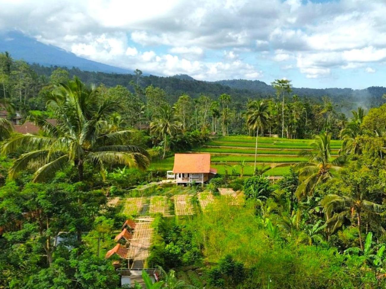Pondok Is Oke Villa Scenic View Banyuwangi  Dış mekan fotoğraf