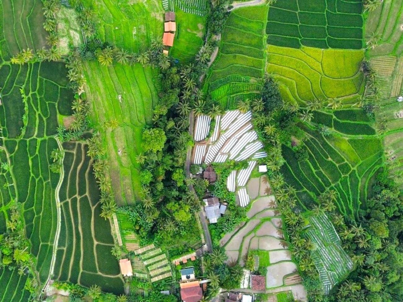 Pondok Is Oke Villa Scenic View Banyuwangi  Dış mekan fotoğraf