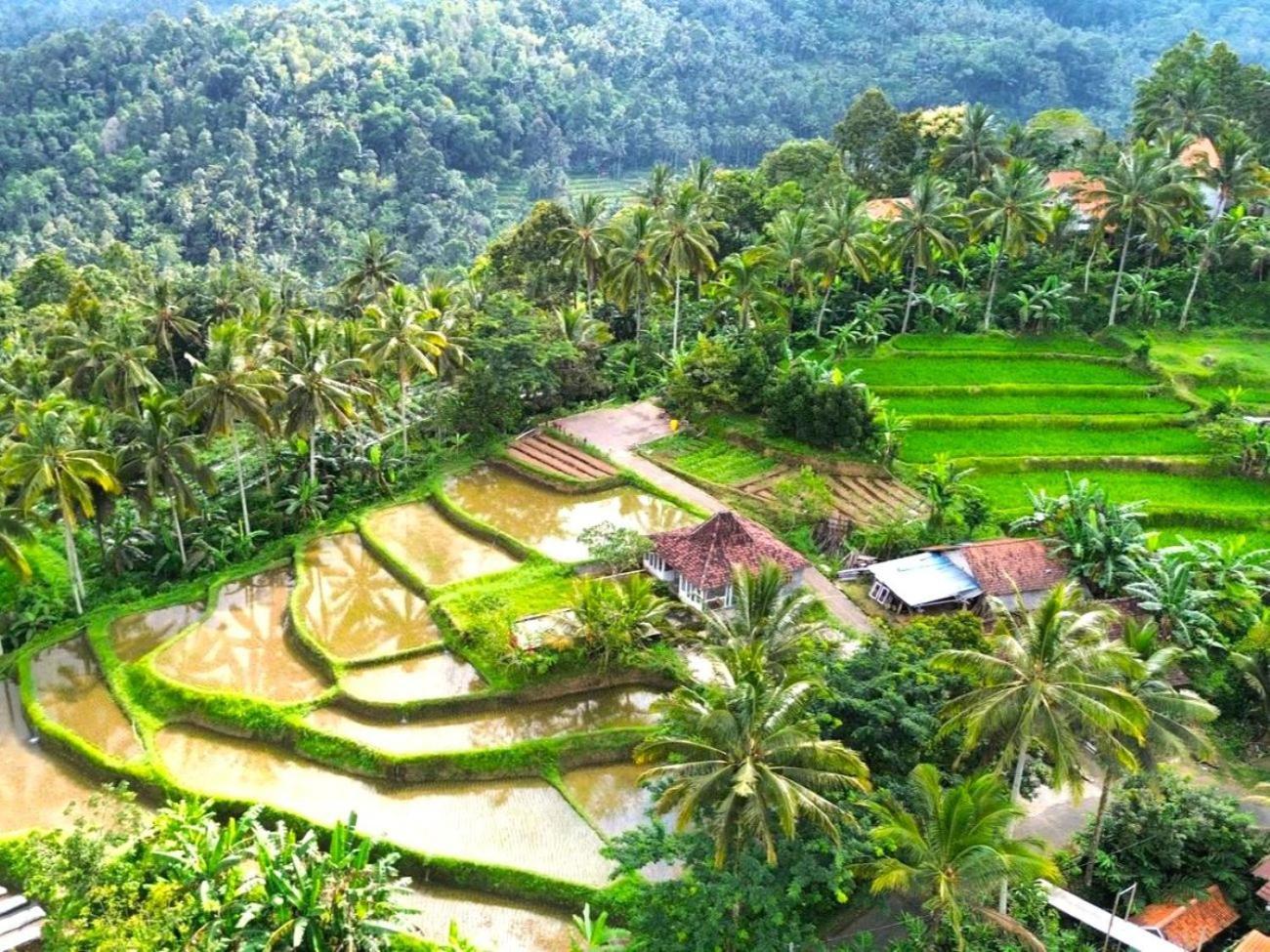Pondok Is Oke Villa Scenic View Banyuwangi  Dış mekan fotoğraf